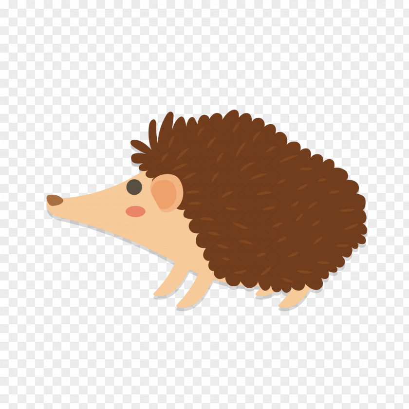 Cute Hedgehog Vector Illustration Cartoon PNG