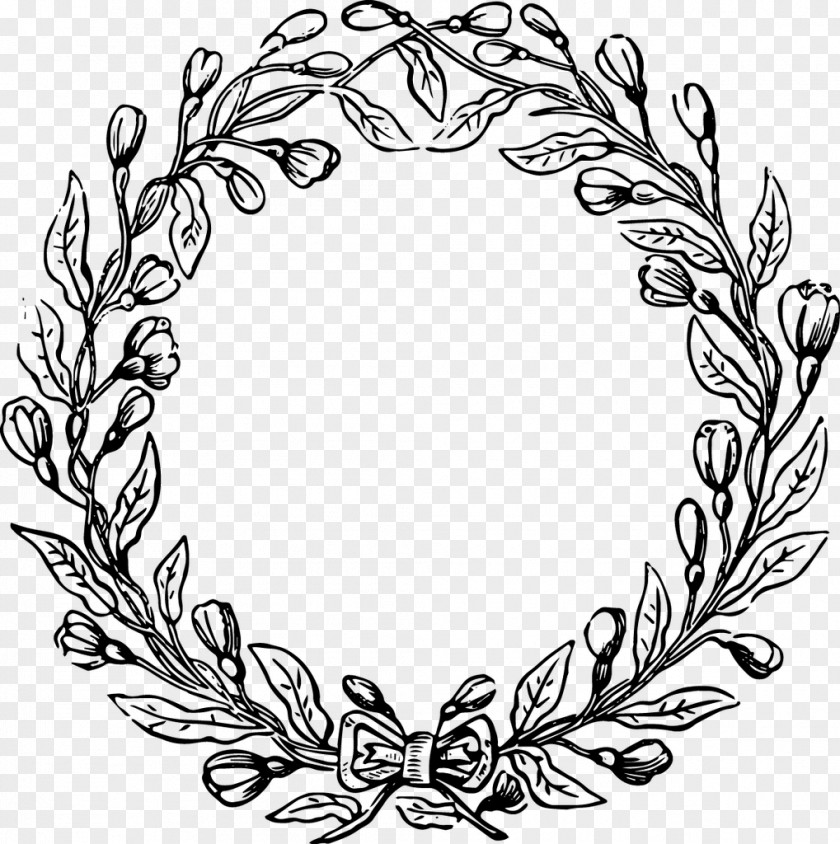 Drawing Scarf Laurel Wreath Clip Art PNG
