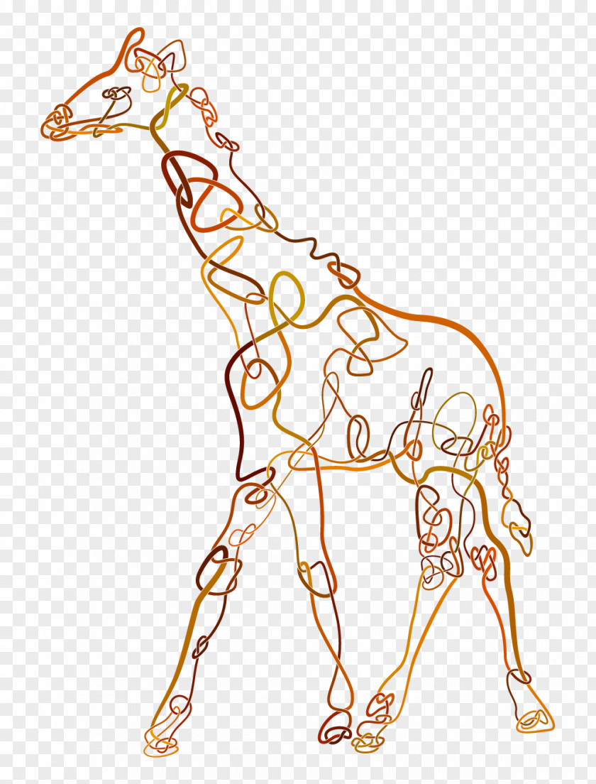 Giraffe Mammal Animal Horse Vertebrate PNG