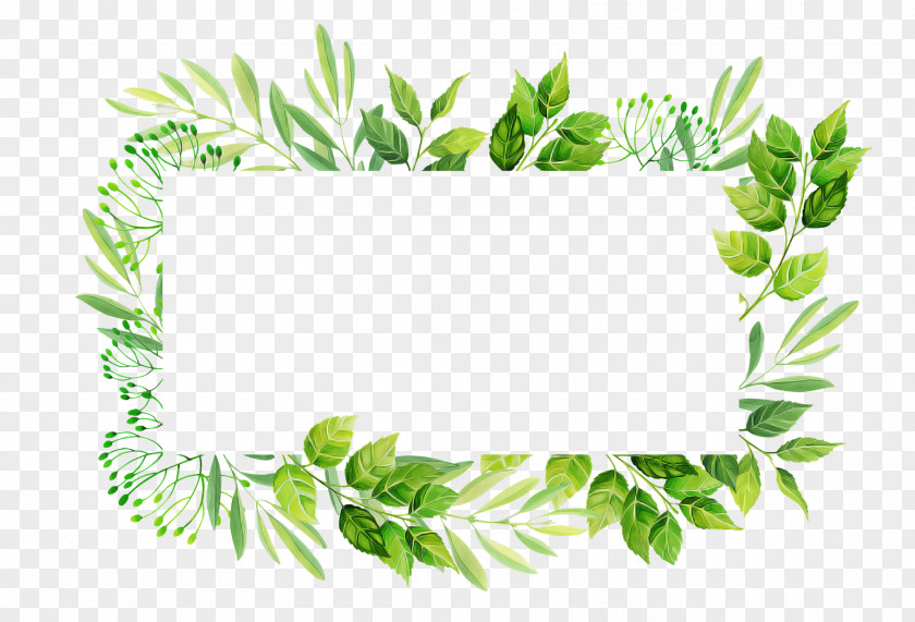 Plant Leaf Grass Flower PNG