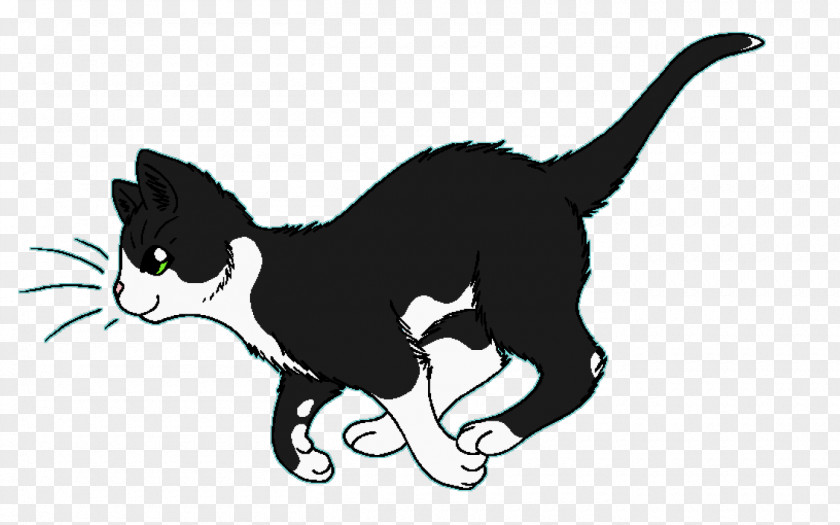 Warriors Cats Drawing Cat Tallstar Crowfeather WindClan PNG