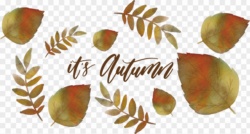 Watercolor Autumn Leaves Painting Leaf Deciduous PNG