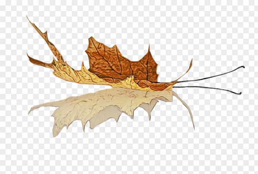 Black Maple Tree Leaf Watercolor PNG