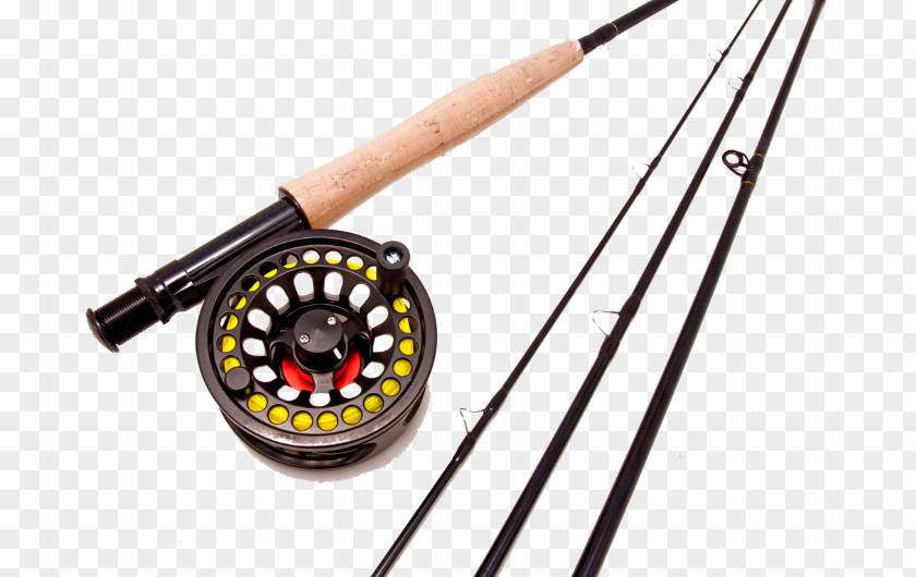 Fishing Reels Rods Fly Tackle PNG