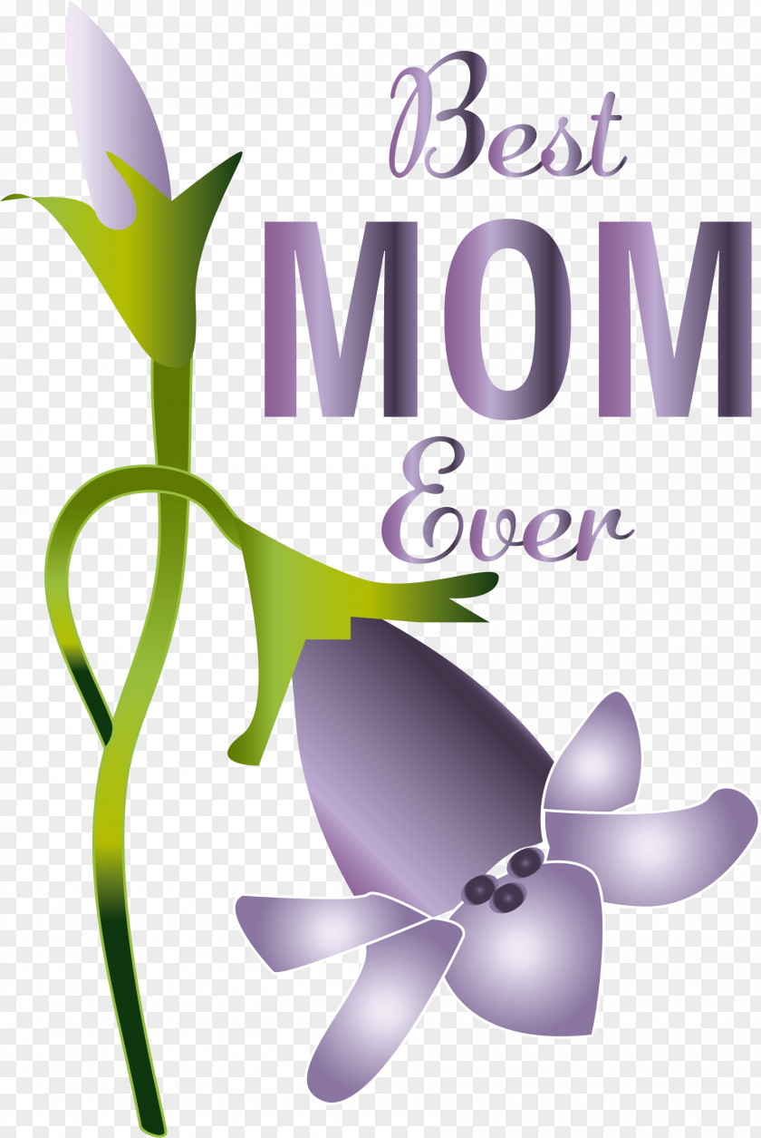 Floral Design PNG