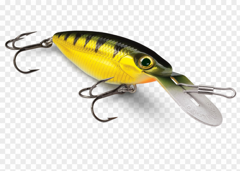 Gizzard Spoon Lure Perch Fish AC Power Plugs And Sockets PNG