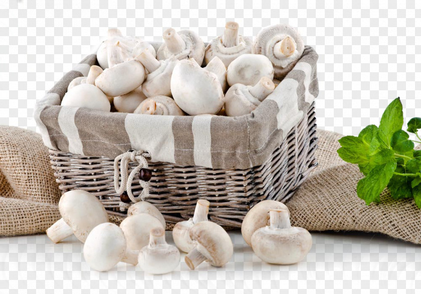 Mushroom Basket Edible Ingredient Photography PNG