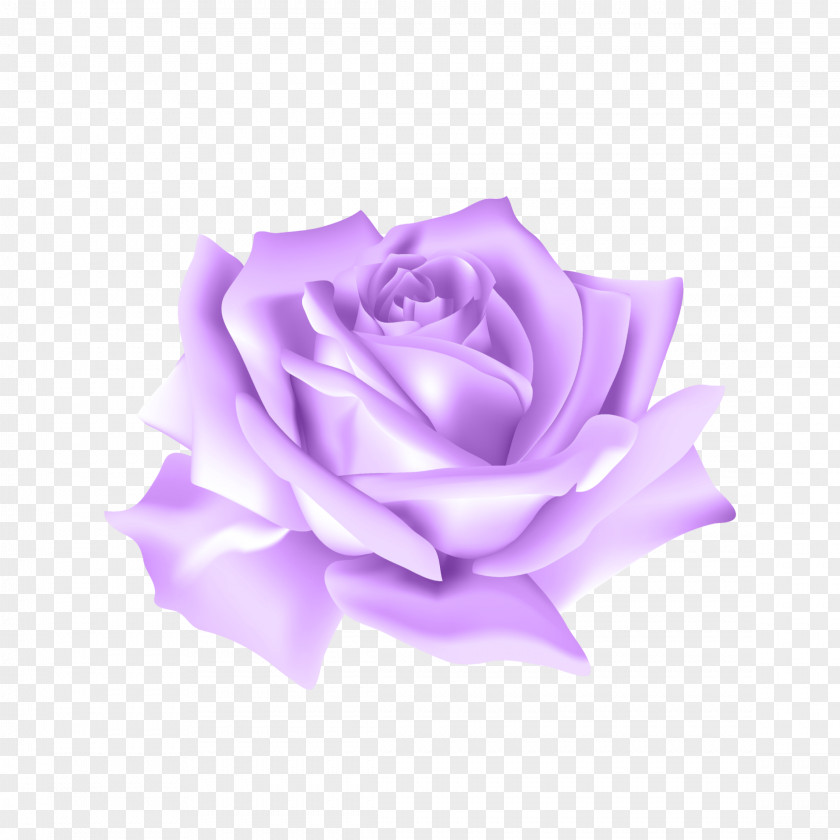 Rose Garden Roses Clip Art Flower PNG