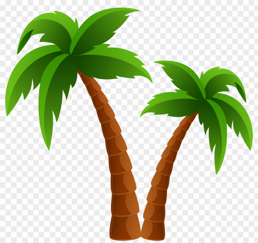 Two Palm Trees Clipart Image Arecaceae Tree Clip Art PNG