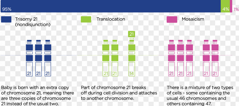 World Down Syndrome Day Chromosome 21 Usher PNG