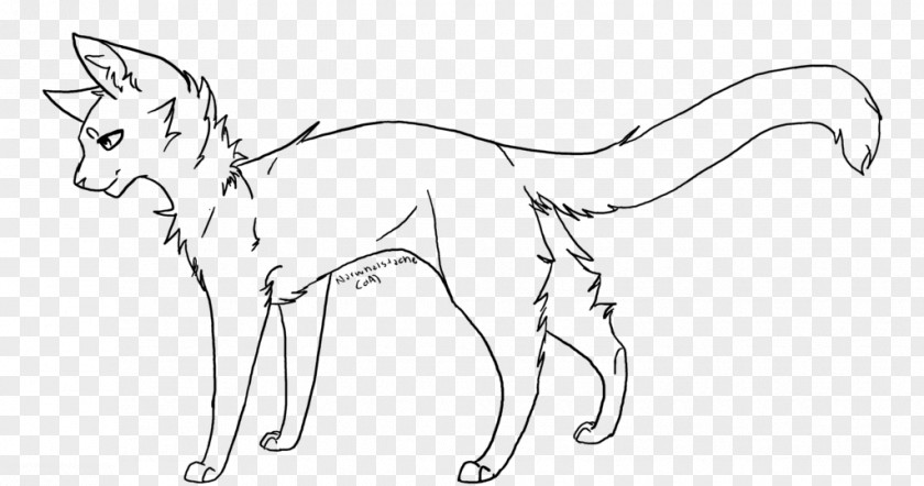 Cat Whiskers Line Art Drawing Warriors PNG