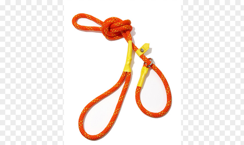 Dog Leash Collar Webbing Rope PNG