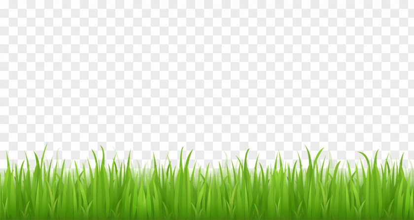 Football Grass Cliparts Free Content Clip Art PNG