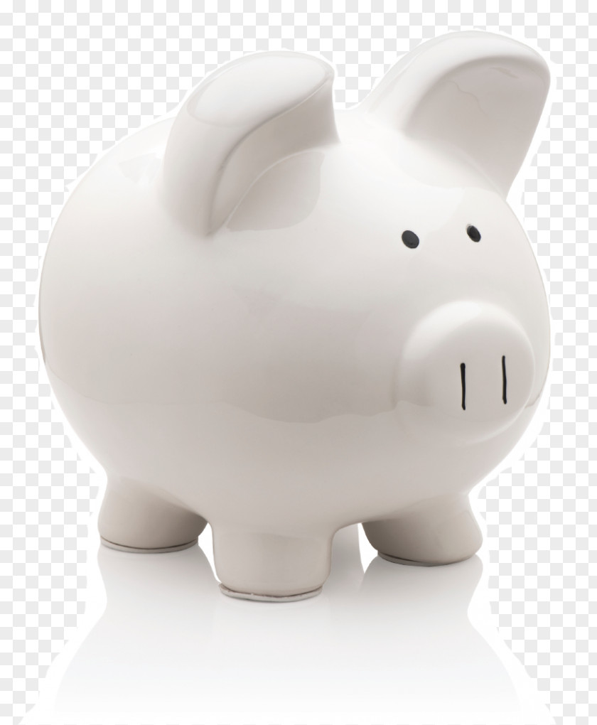 Piggy Bank Money Cooperative Payment PNG