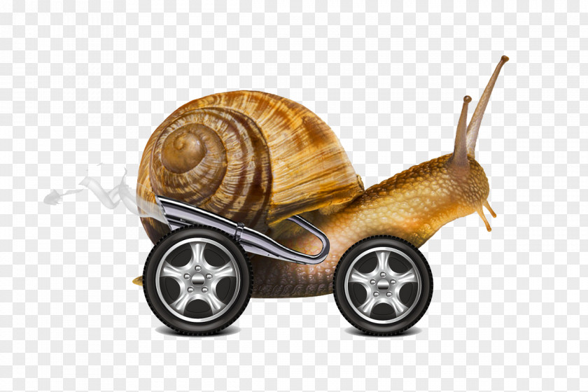 Snail Cars Orthogastropoda Graphic Design PNG