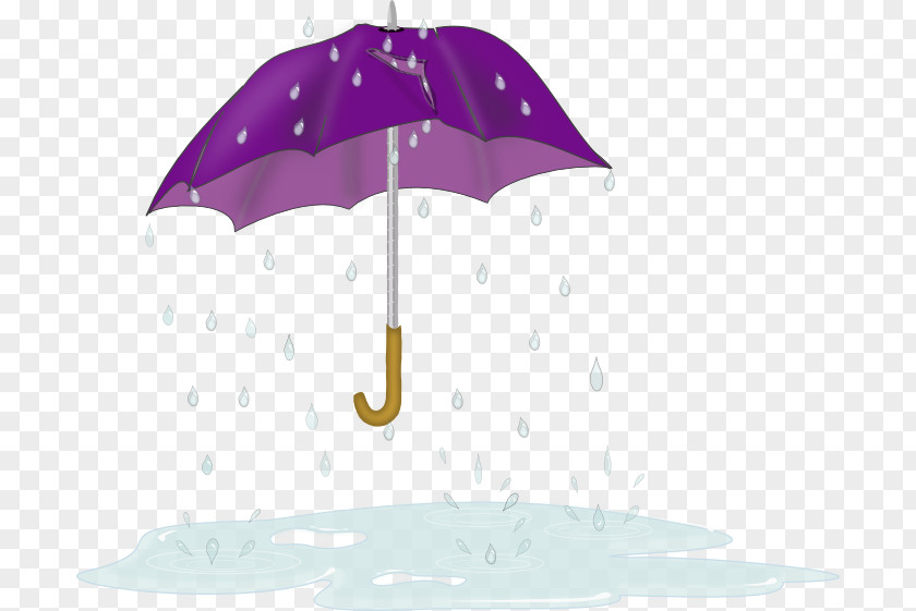 Sprin Umbrella Rain Clip Art PNG