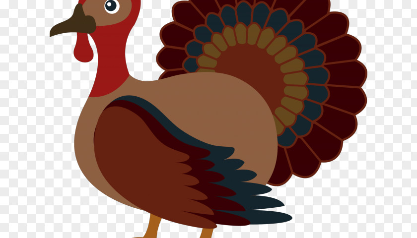 Tail Beak Thanksgiving Turkey PNG