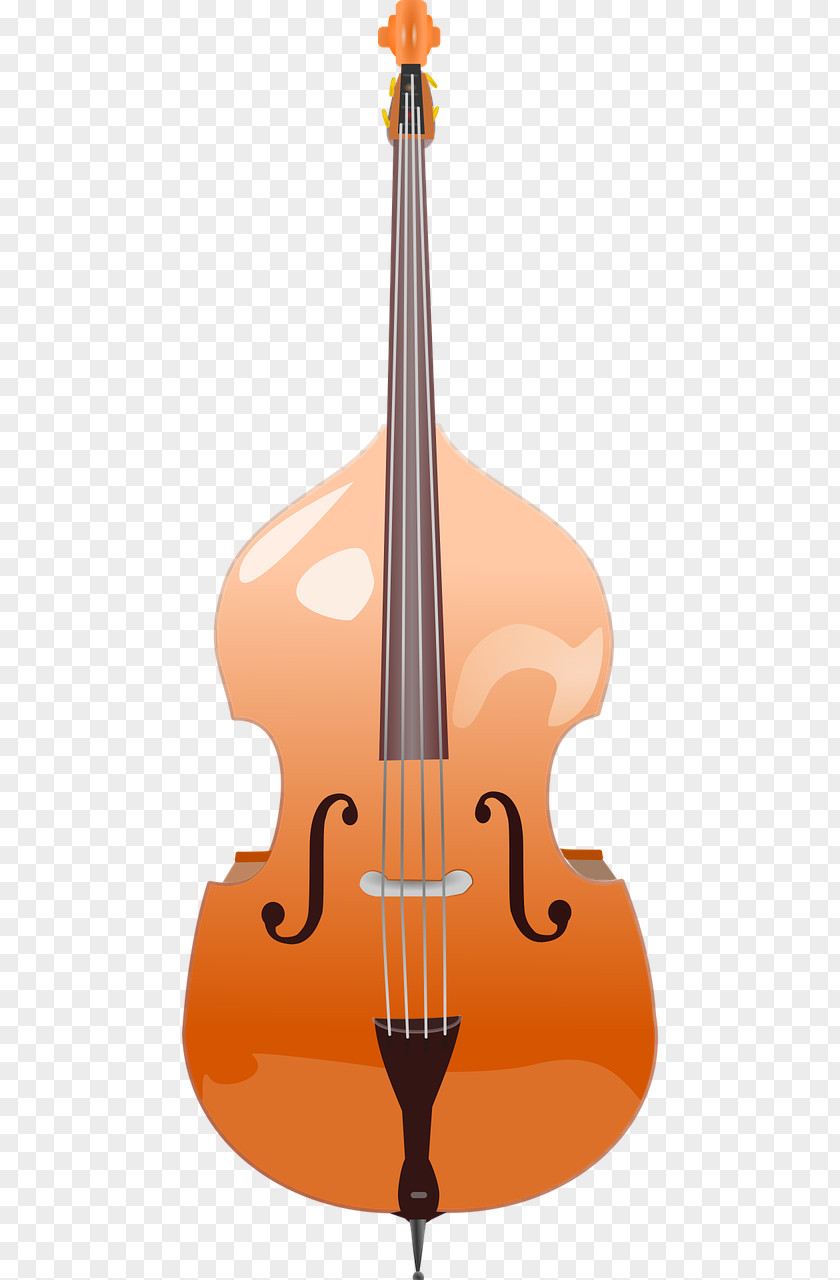 Bass Guitar Double String Instruments PNG