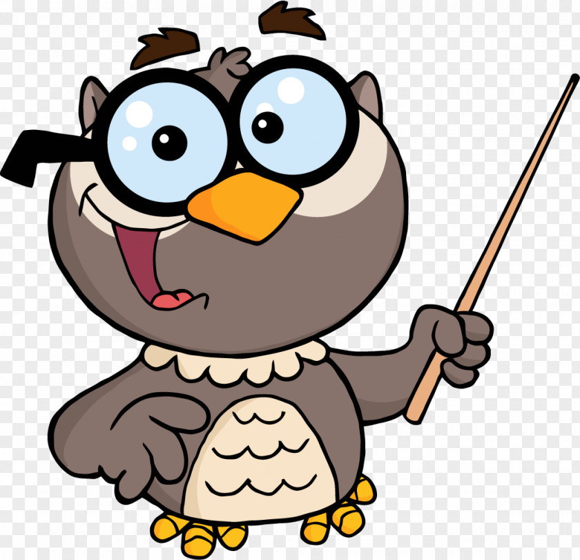 Cartoon Teacher Owl Royalty-free Clip Art PNG