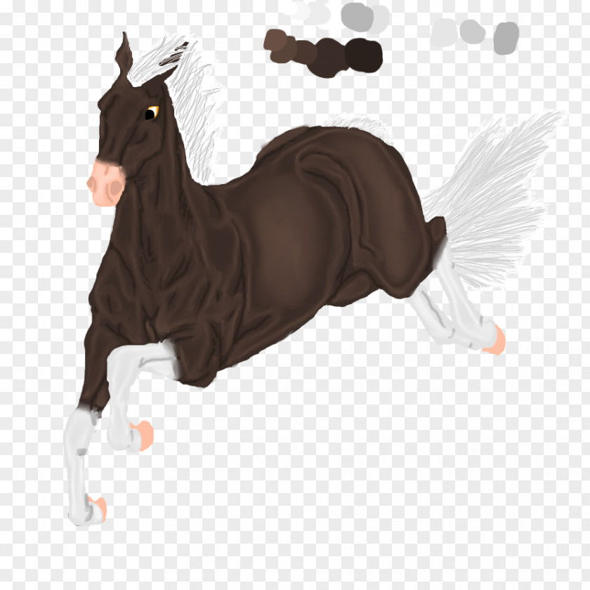 Galloping Horse Mustang Pony Pack Animal Mane Halter PNG