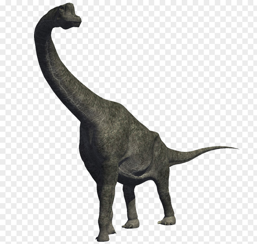 Jurassic Park Brachiosaurus Diplodocus Carnivores: Dinosaur Hunter Sauropoda PNG