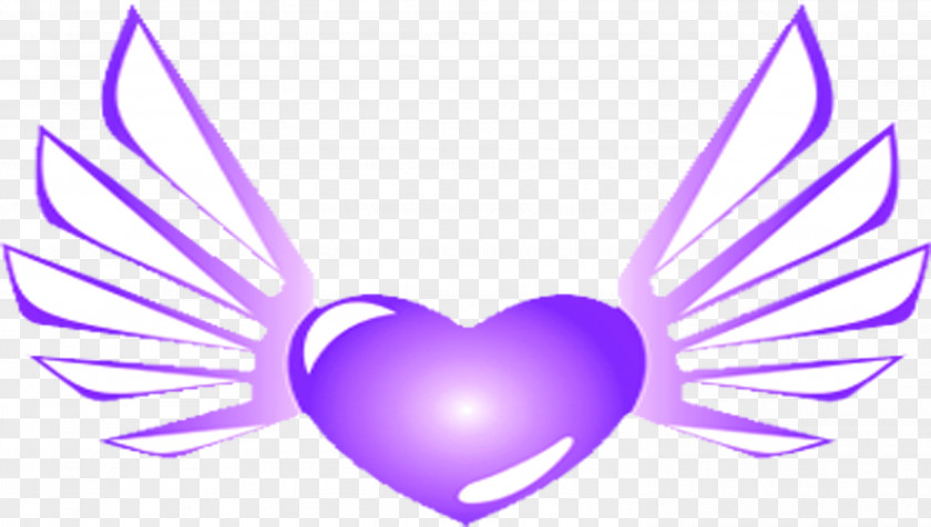 Purple Wings Of Love Wing Download Clip Art PNG