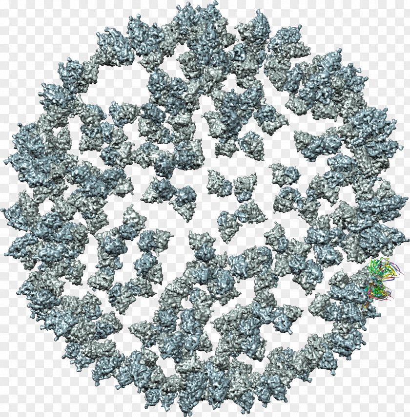 Tobacco Mosaic Virus Tree PNG