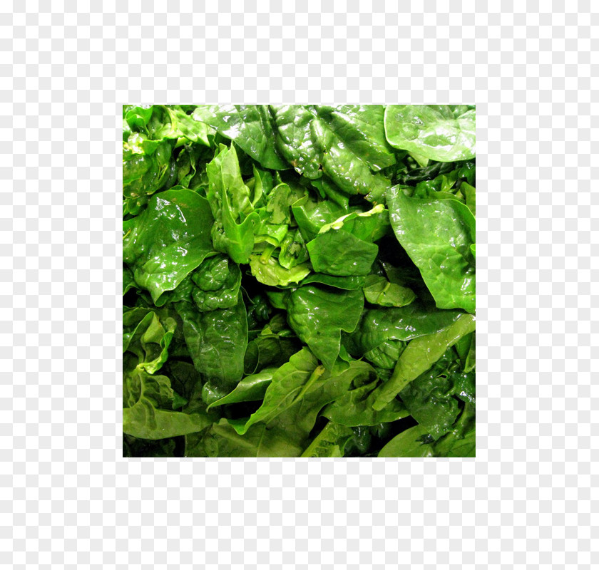 Vegetable Malabar Spinach Romaine Lettuce Palak Paneer Chard PNG