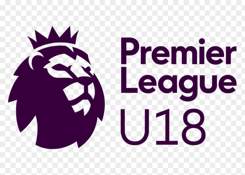 West Bromwich Albion F.C. Premier League Cup 2017–18 Watford Burnley PNG
