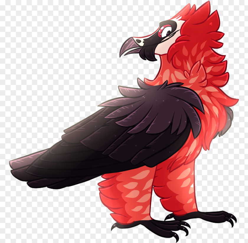 Bird Beak Of Prey Feather Illustration PNG