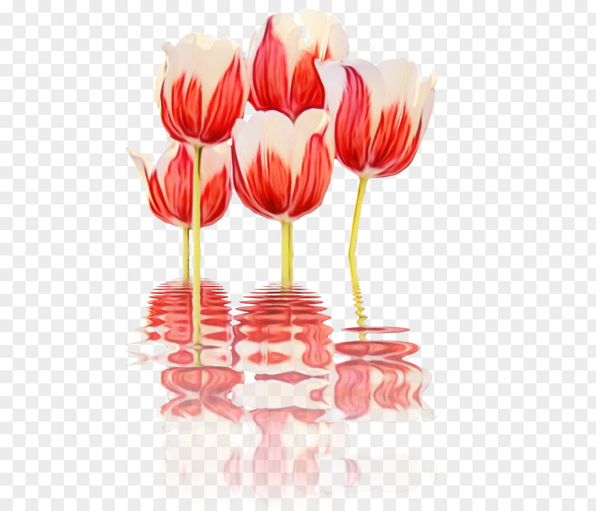 Cut Flowers Tulip Flower Bouquet Floral Design PNG