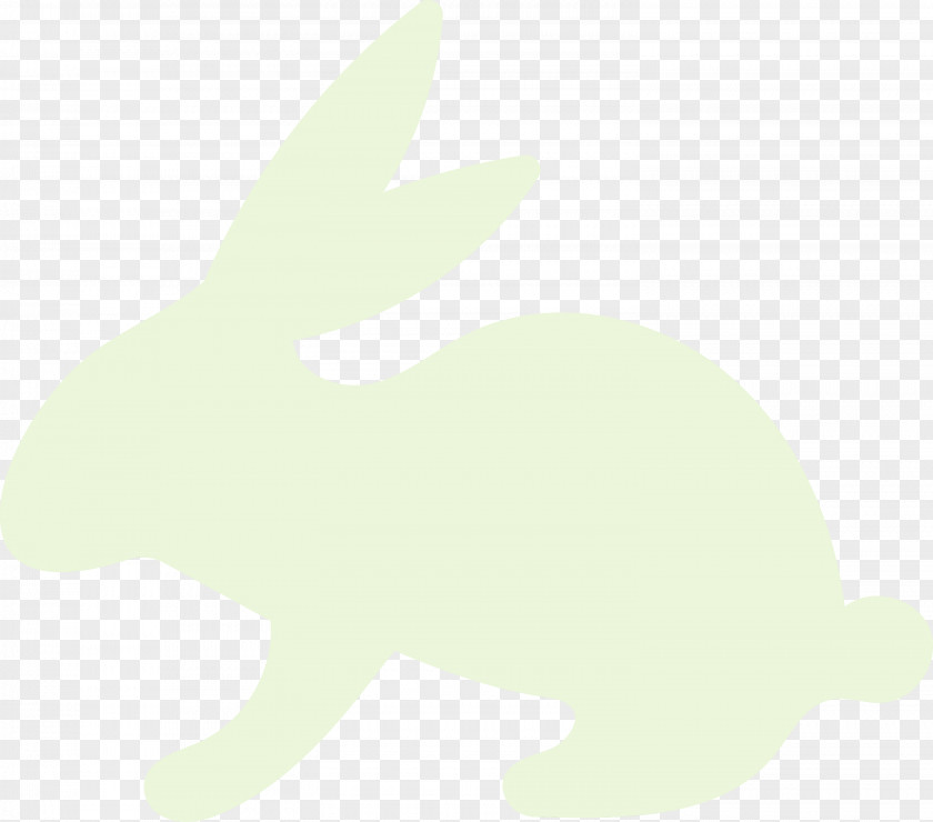 Easter Bunny PNG