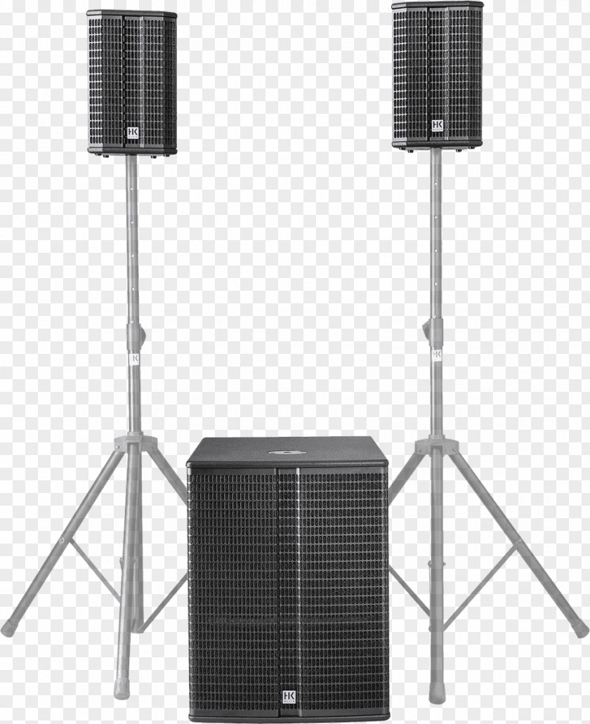 Lucas Nano 300 PA System Public Address Systems Loudspeaker MicrophoneMicrophone NBA 2K18 HK Audio PNG