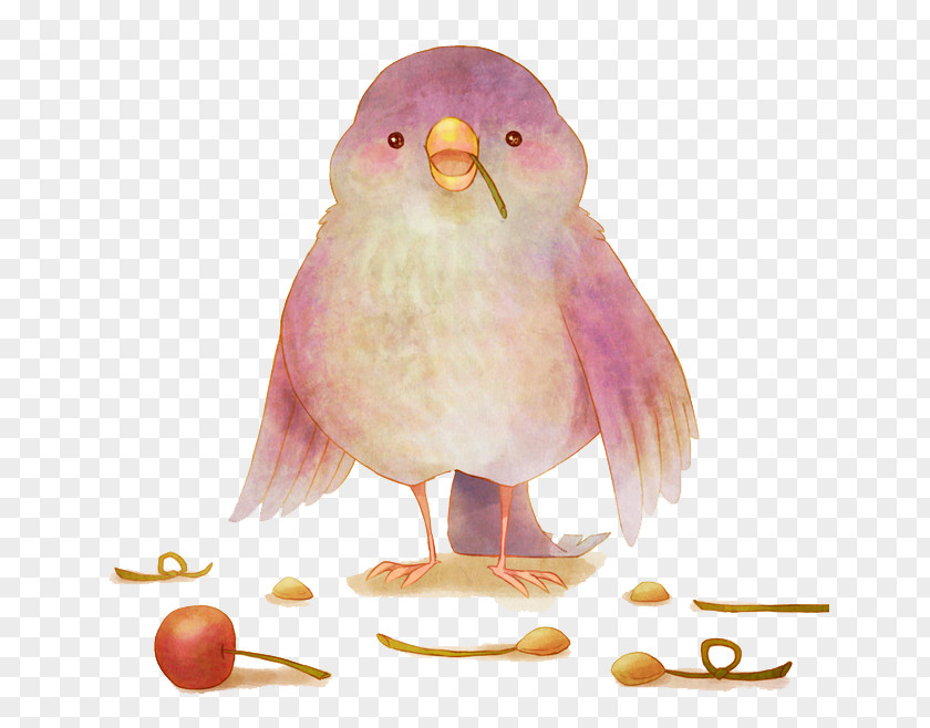 Sparrow Bird Cartoon PNG