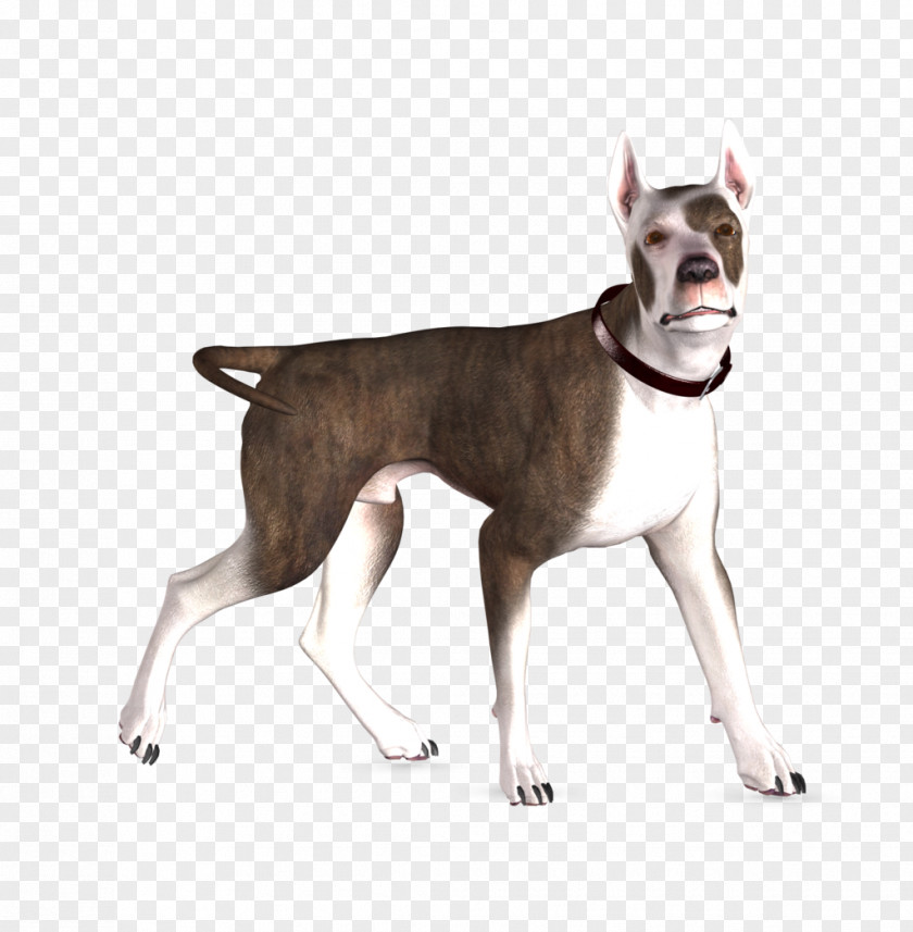 3d Dog Boston Terrier Great Dane Bull English White Rottweiler PNG