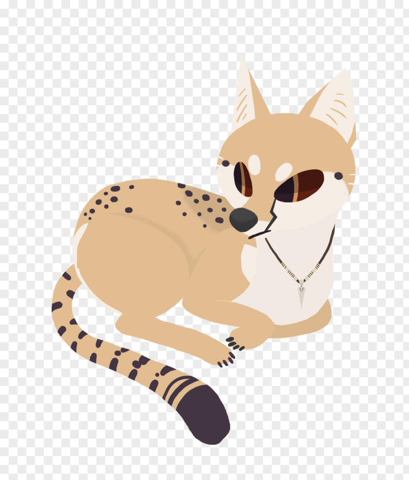 Cat Shiba Inu Whiskers Doge Red Fox PNG