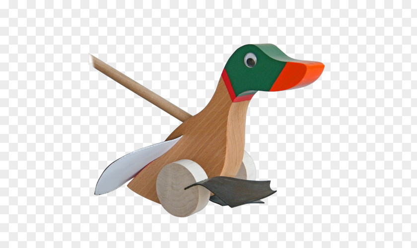 Duck /m/083vt Wood PNG