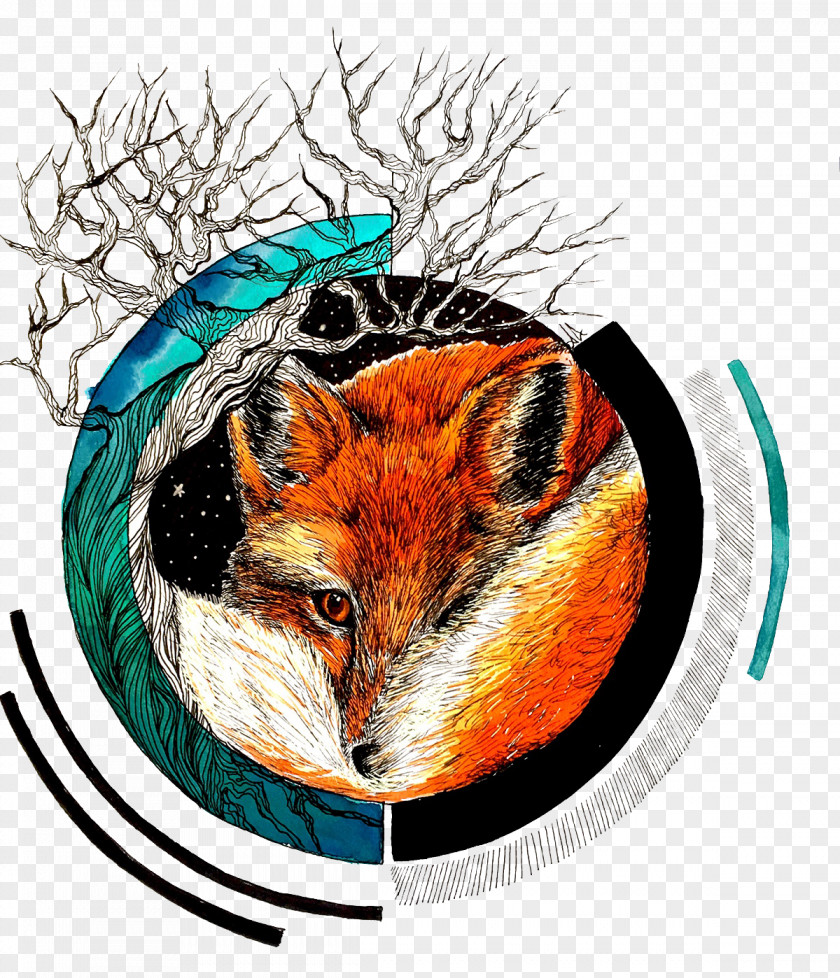 Fox Curled Up In A Circular Pattern Illustration PNG