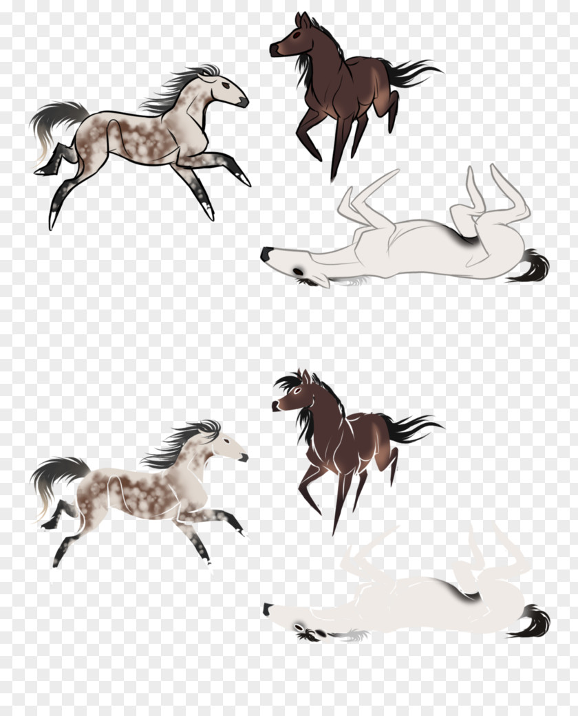 Mustang Stallion Mane Rein Pack Animal PNG