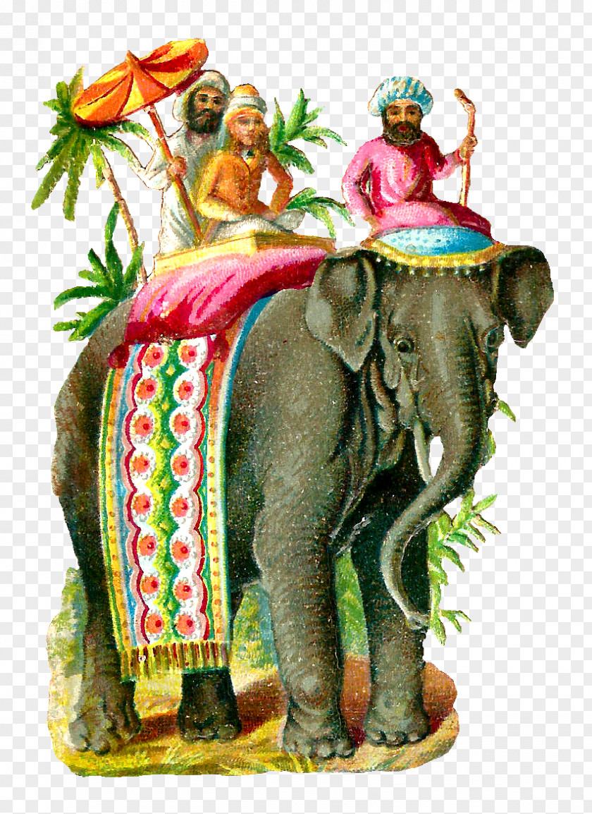 Oriental Indian Elephant African PNG