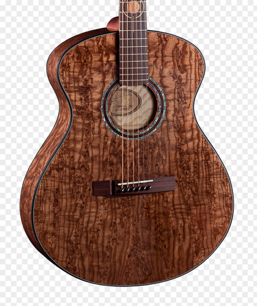 Plank Bridge Creek Acoustic Guitar Acoustic-electric Ukulele Tiple PNG