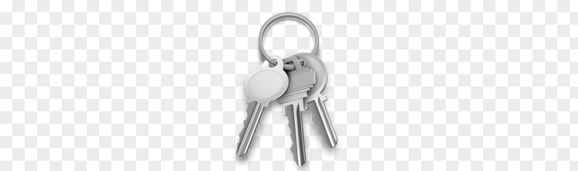 Set Of Silver Keys PNG Keys, three keys inside keychain clipart PNG