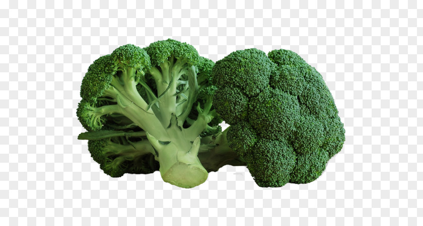 Broccoli Consommé Vegetable Food Chou PNG