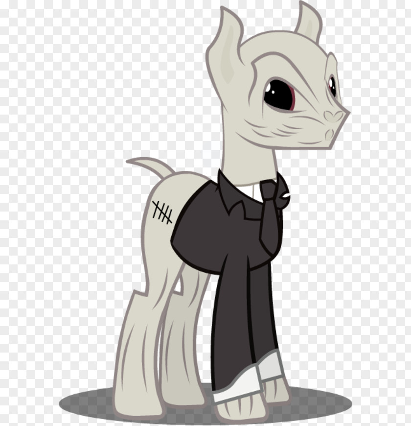 Cat Pony Doctor Horse Silence PNG