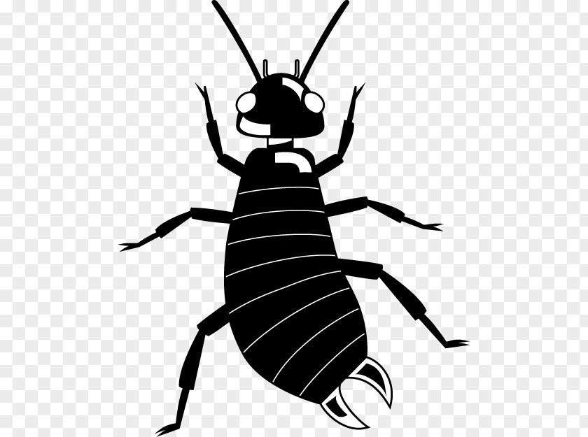 Earwigs Insect Fly Clip Art Ant Arthropod PNG