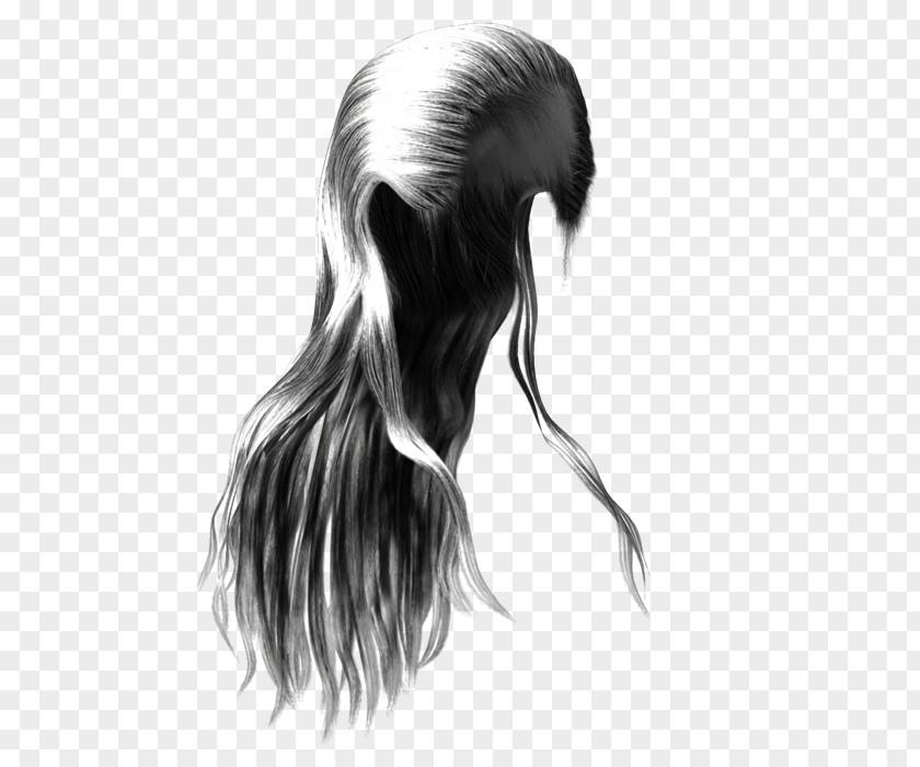 Hair Long Coloring Wig PNG