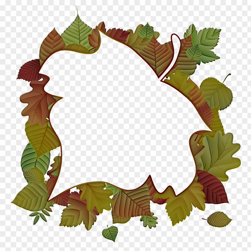 Leaf Tree The Family Grapevine Plant Structure Biology PNG