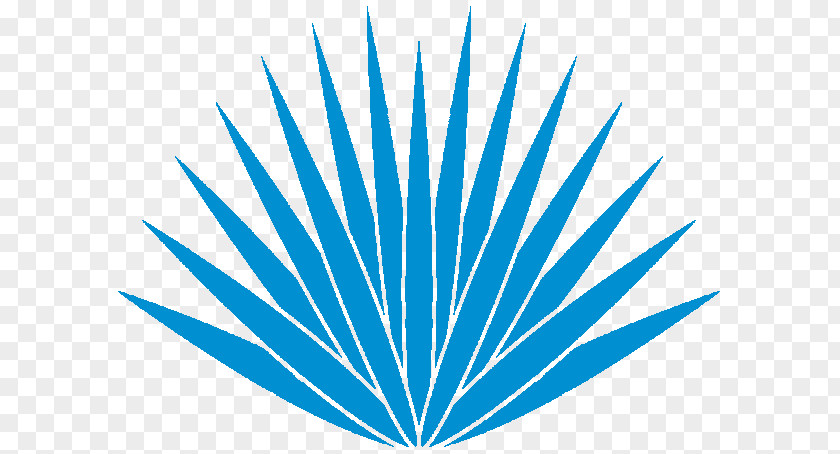 Symbol Tequila Agave Azul Century Plant PNG