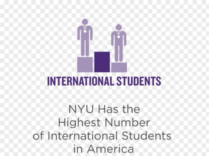 Undergraduate New York University Washington Square Park Private 游学团 PNG