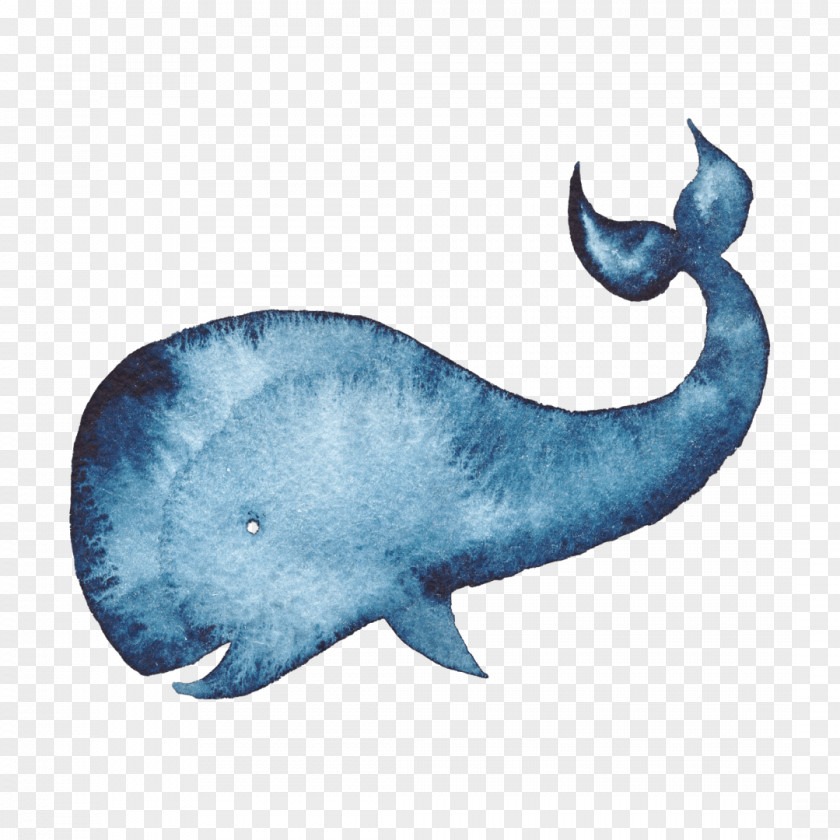 Whale Humpback Watercolor Painting Blue PNG